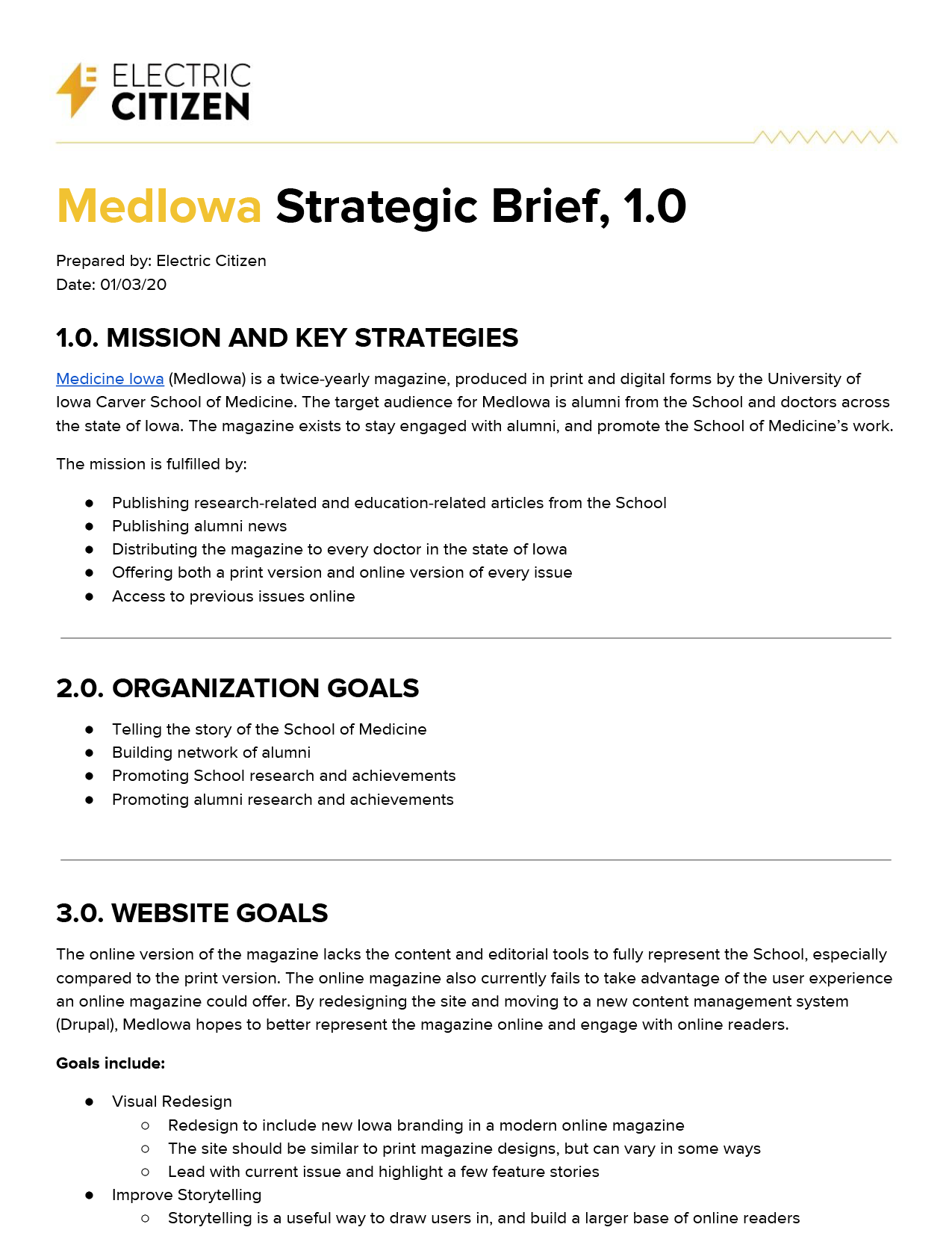 sample of strategic brief prepared for client