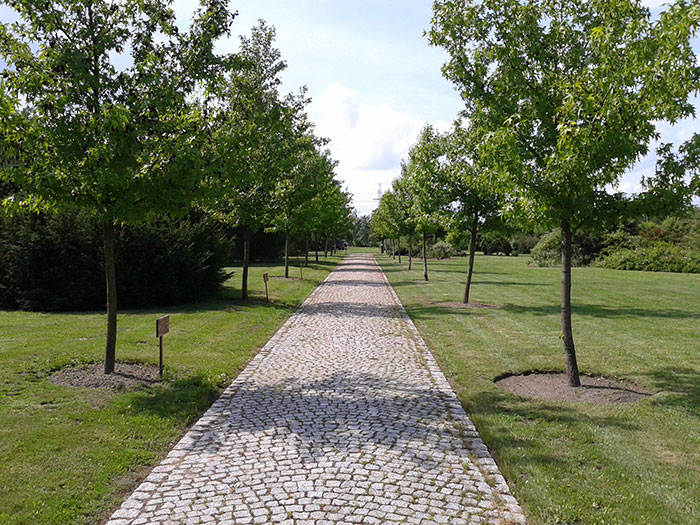 image of path through the countryside