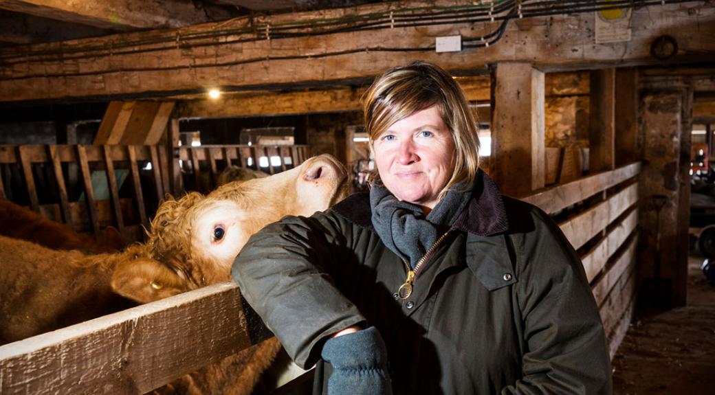 woman farmer with her cow inside a barn