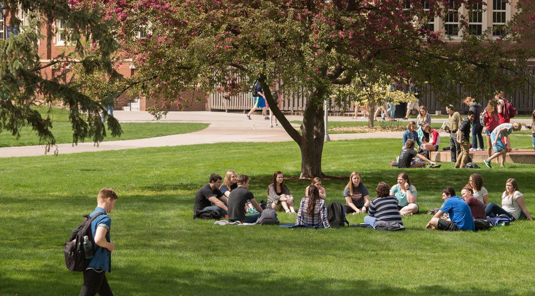 images of college students on an outdoor campus with grass and trees