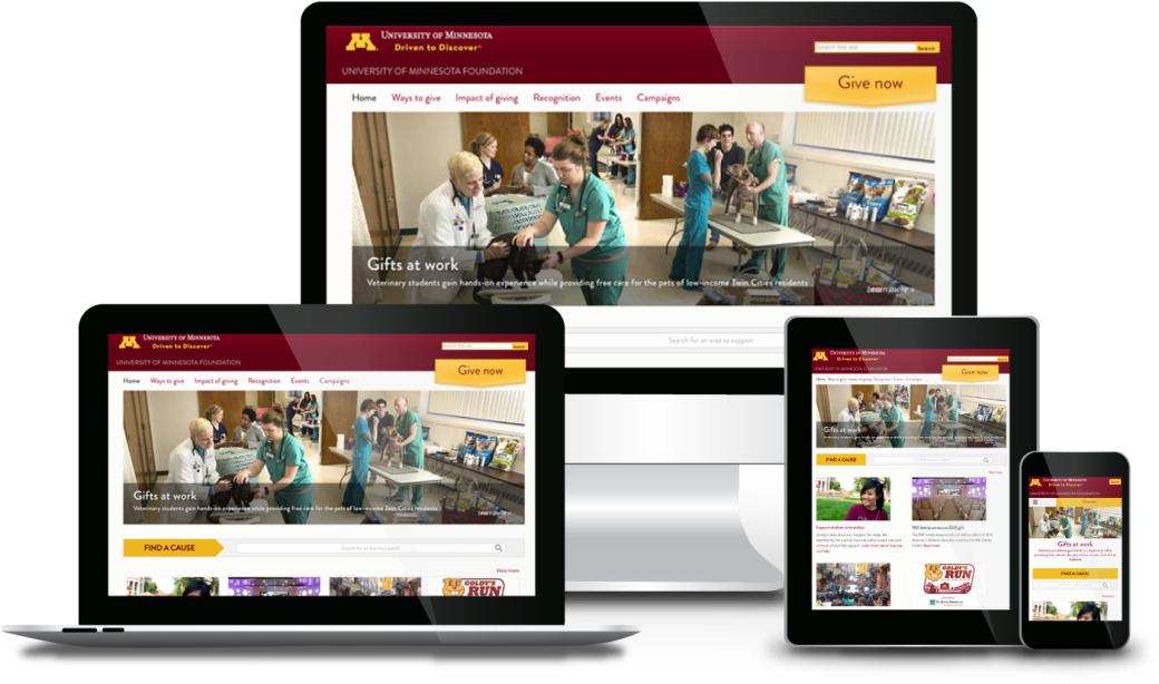 screenshots from UMN Foundation website