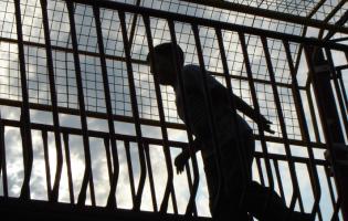 image of incarcerated youth in the US