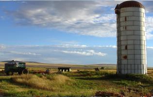 Grain silo in a sunny field