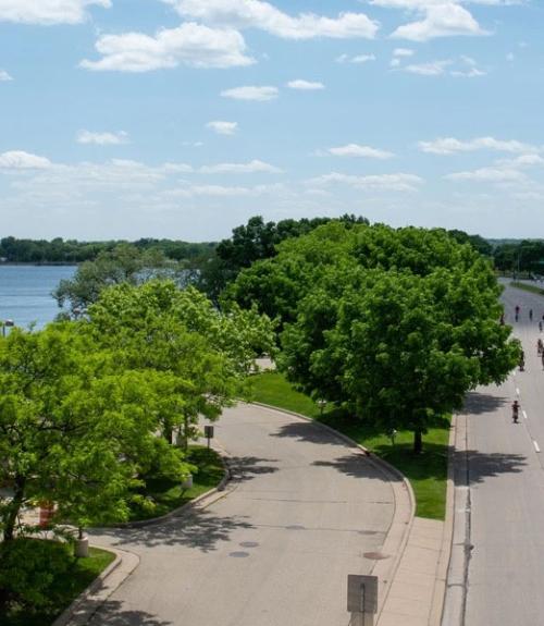 City of Madison, photo of trees and water alongside road