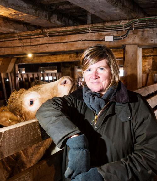 woman farmer with her cow inside a barn