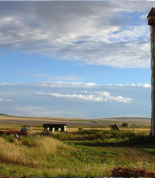 Grain silo in a sunny field